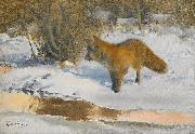 bruno liljefors Winter Landscape with a Fox oil painting